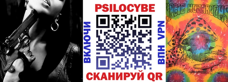 Галлюциногенные грибы GOLDEN TEACHER Купить закладки Магас